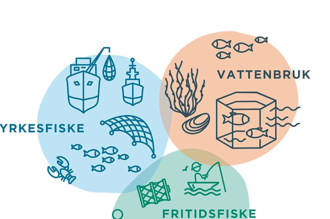 Ny nationell strategi och handlingsplan för vattenbruk