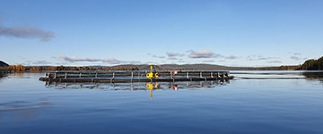 Nyheter från projekt Miljökassen