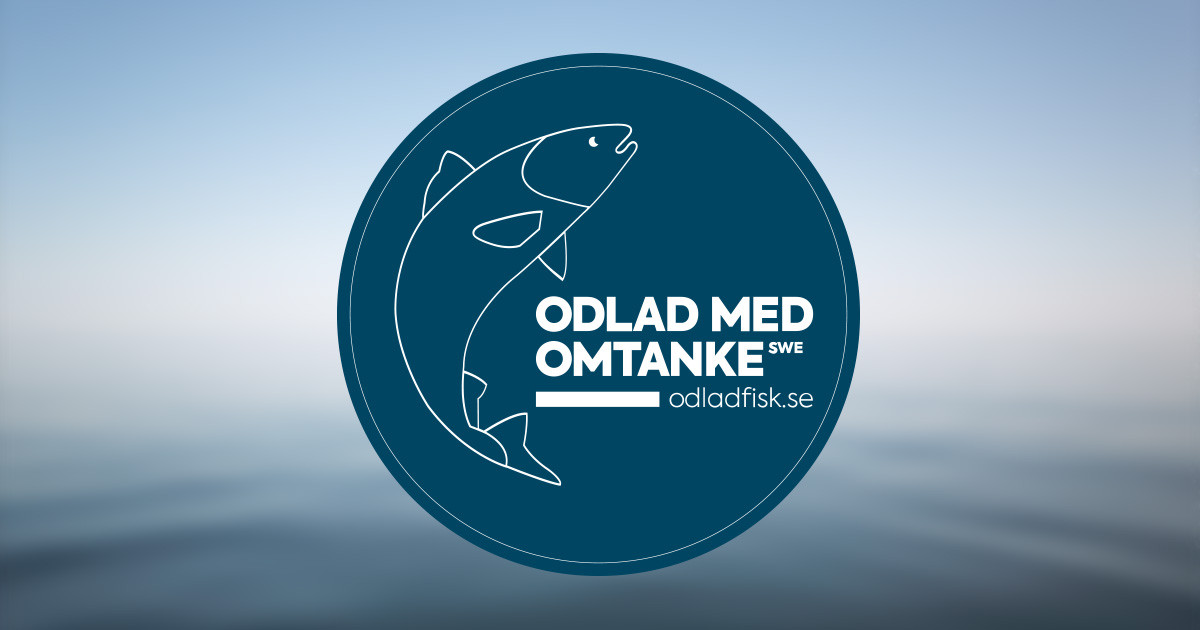 Lansering av branschriktlinjer inom Odlad med Omtanke - del av djurvälfärdskurs 27 mars 2019